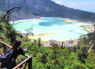 Bandung:Kawah Putih,Volcano,HotSpring,Mud Swimming,Lake Tour