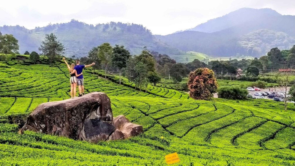 Picture 4 for Activity Bandung:Kawah Putih,Volcano,HotSpring,Mud Bathing,Lake Tour