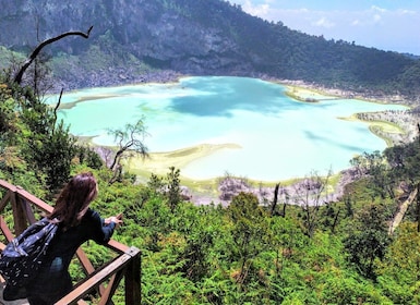 Bandung:Kawah Putih,Volcano,HotSpring,Mud Bathing,Lake Tour