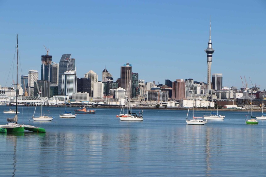 Picture 2 for Activity Auckland: Half-Day Scenic Sightseeing Tour