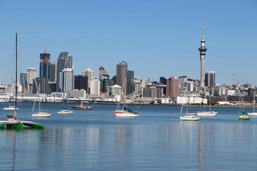 Picture 2 for Activity Auckland: Half-Day Scenic Sightseeing Tour