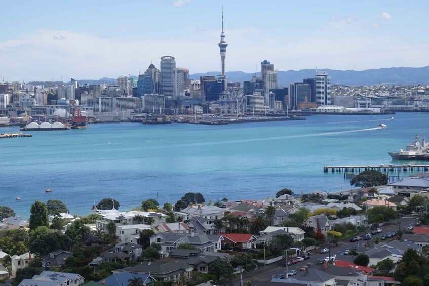 Auckland: Half-Day Scenic Sightseeing Tour