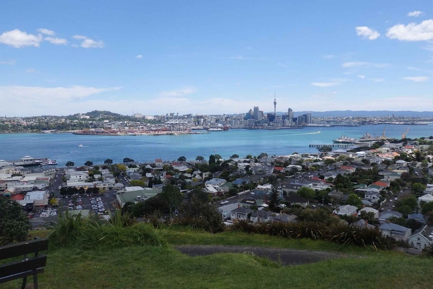 Picture 4 for Activity Auckland: Half-Day Scenic Sightseeing Tour