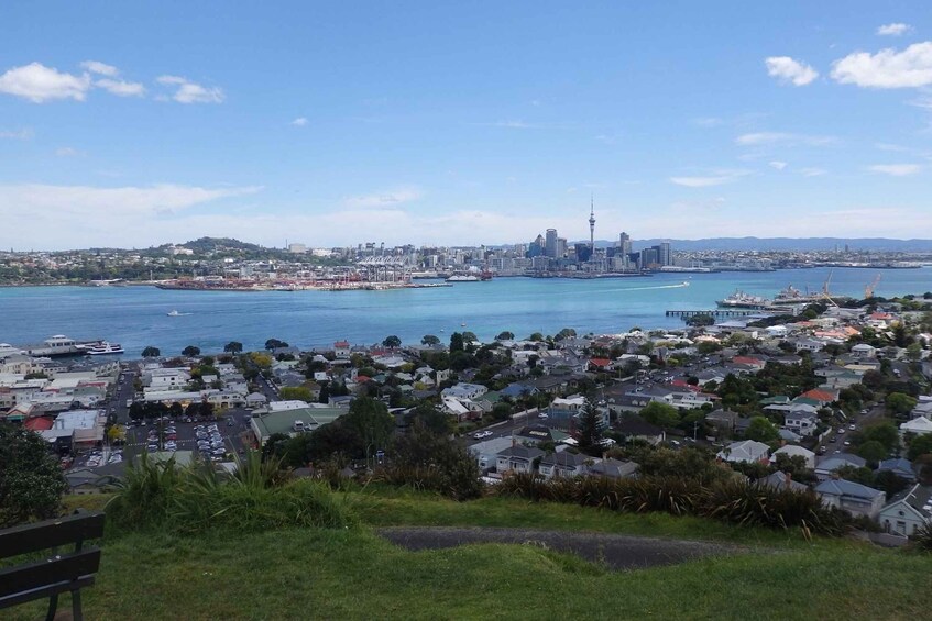 Picture 4 for Activity Auckland: Half-Day Scenic Sightseeing Tour