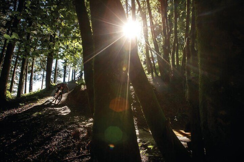 Two hours guided E-Bike Tour - Arzler Alm Single Trail