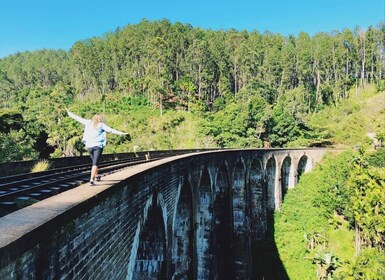 Ella: Little Adam's Peak and Nine Arch Bridge Half-Day Tour