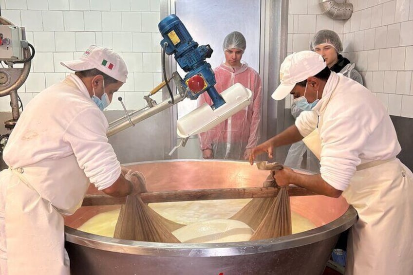 Visiting the Parmigiano Reggiano dairy farm
