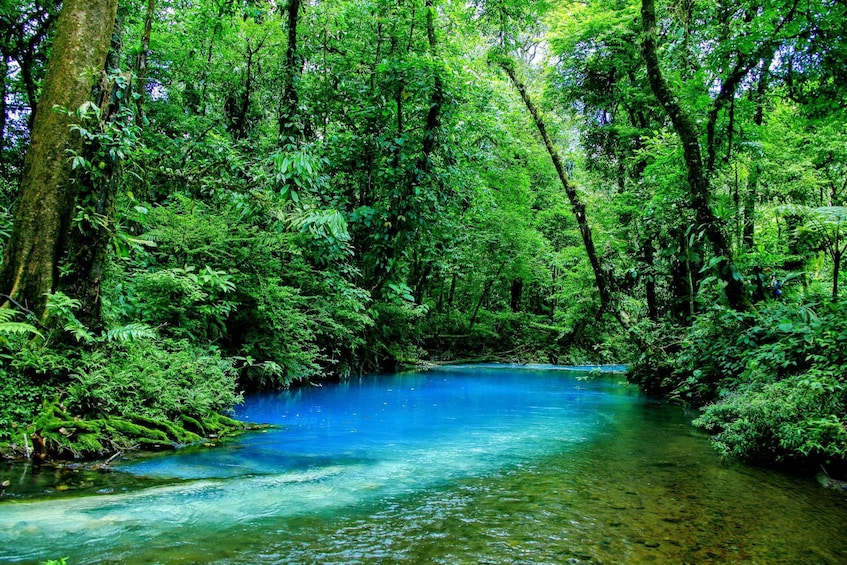 Picture 9 for Activity Tamarindo: Celeste River and Llanos de Cortez Waterfall