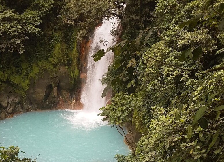 Picture 3 for Activity Tamarindo: Celeste River and Llanos de Cortez Waterfall