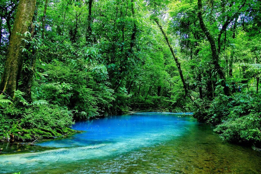 Picture 9 for Activity Tamarindo: Celeste River and Llanos de Cortez Waterfall