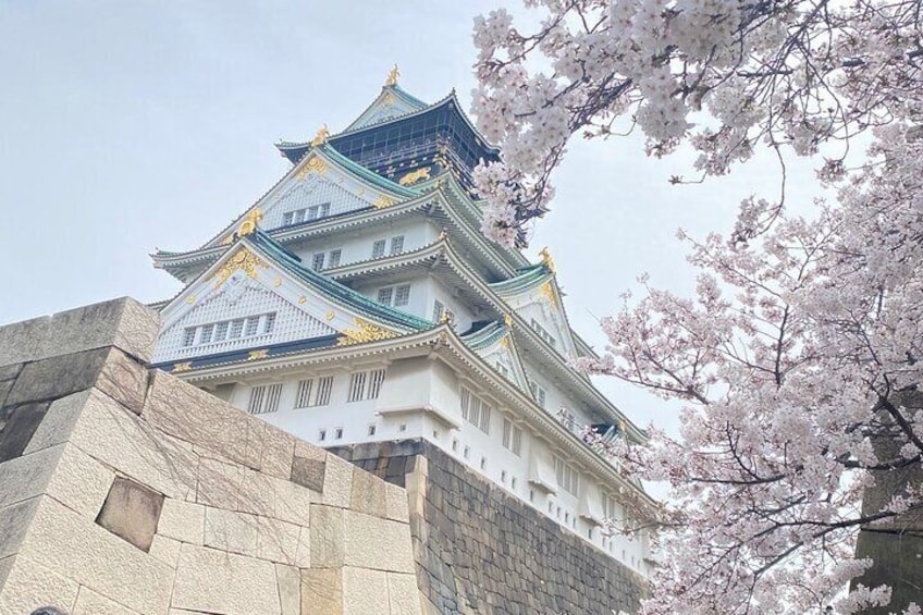 6 Hours Tour in Osaka Castle, Kuromon Market and Dotonbori 