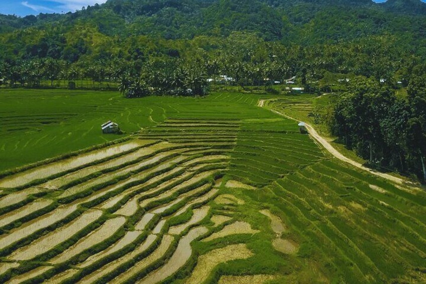 Full Day Private Exclusive Tour of Anda in Bohol