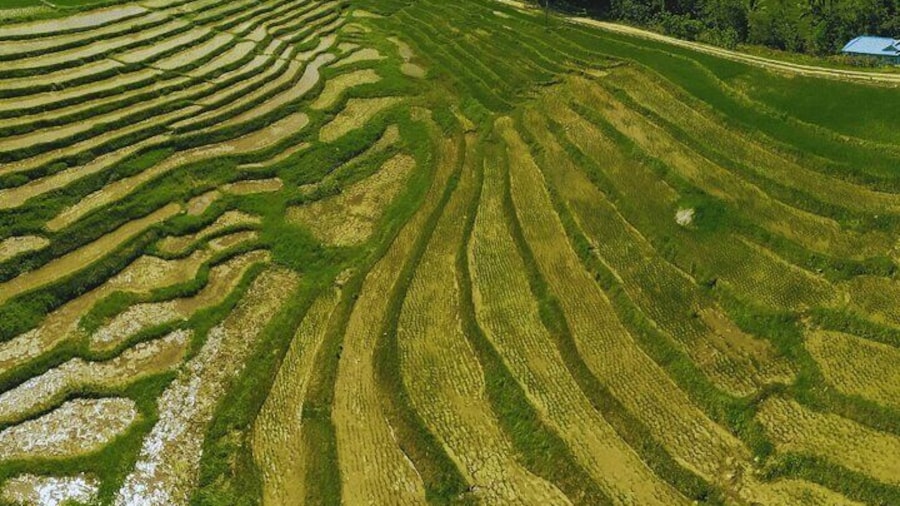 Full Day Private Exclusive Tour of Anda in Bohol
