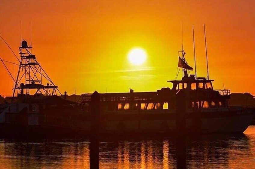 Myrtle Beach Sunset Dolphin Cruise Experience in Murrells Inlet