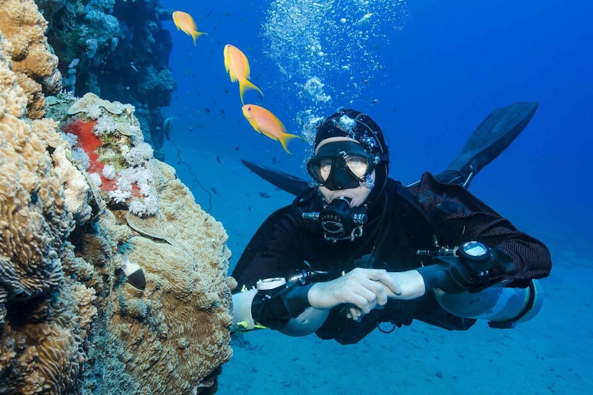 Picture 1 for Activity Antalya/Kemer: Scuba Diving Experience Incl. 2 Dives & Lunch