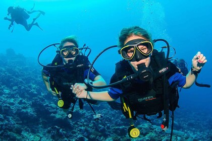 Antalya/Kemer: Excursión de buceo de 2 inmersiones con almuerzo