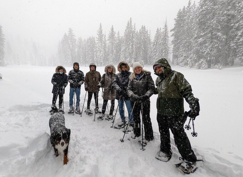 Picture 4 for Activity Snowshoe Rentals and Self Guided tour on Private Trails