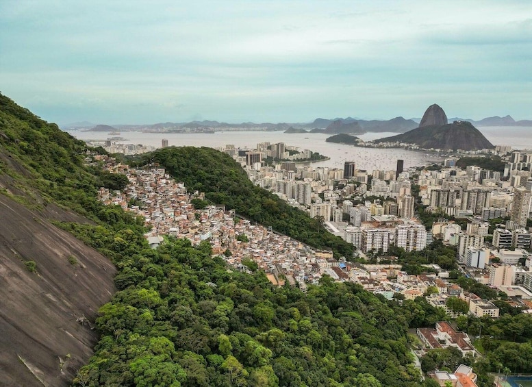 Picture 13 for Activity Rio de Janeiro: Favela Santa Marta Tour with a Local Guide