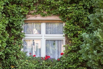 Berlin: Eintrittskarte für den Botanischen Garten mit Audioguide