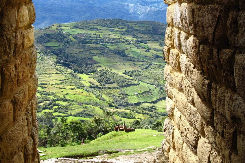 Picture 16 for Activity Chachapoyas: 2-Day Gocta Waterfalls and Kuelap Fortress Tour