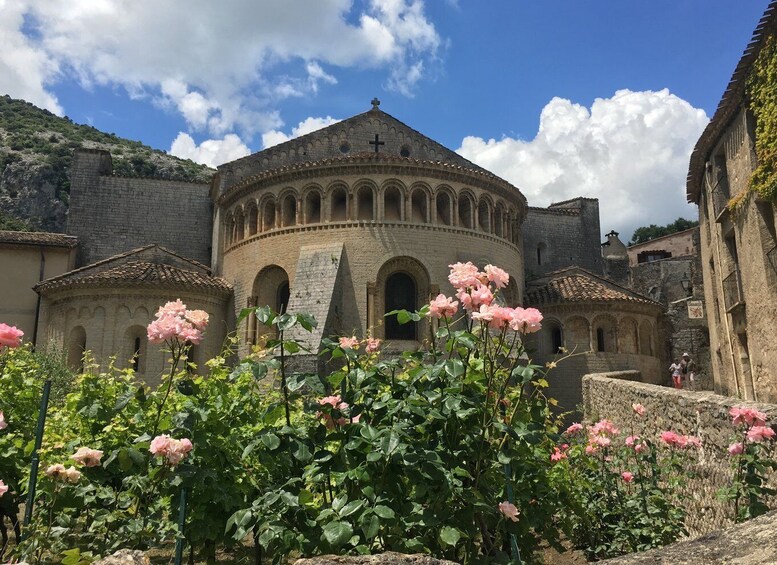 Picture 1 for Activity Vineyards and Village of the Languedoc