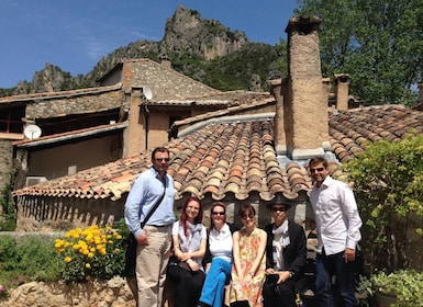 Weinberge und Dorf im Languedoc