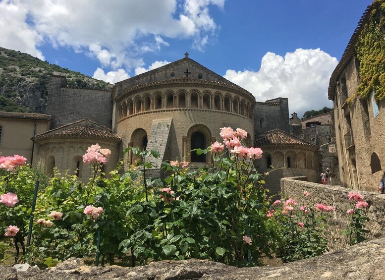 Picture 1 for Activity Vineyards and Village of the Languedoc