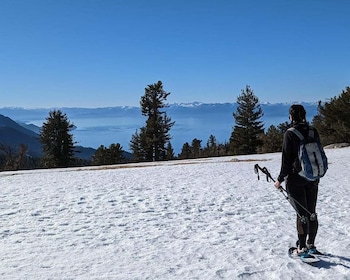 Caminata con raquetas de nieve para principiantes en Chickadee Ridge