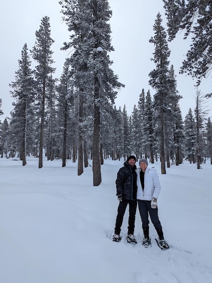 Picture 6 for Activity Chickadee Ridge Beginner Snowshoeing Hike