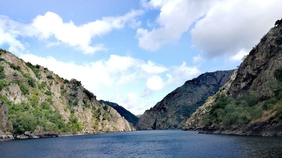 From Santiago: Excursion to Ribeira Sacra and Ourense
