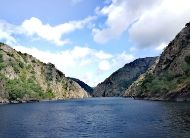 De Santiago : Excursion à Ribeira Sacra et Ourense