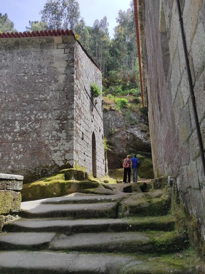 Picture 10 for Activity From Santiago: Excursion to Ribeira Sacra and Ourense