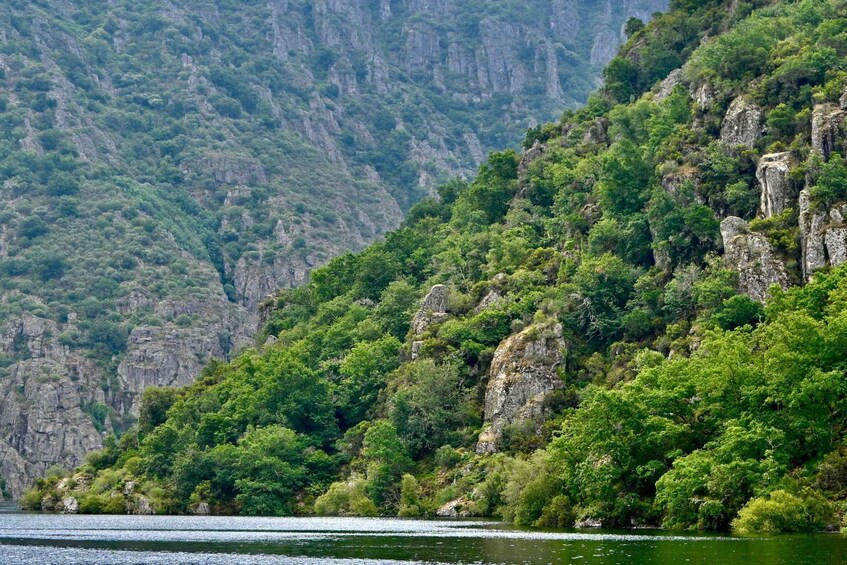 Picture 3 for Activity From Santiago: Excursion to Ribeira Sacra and Ourense