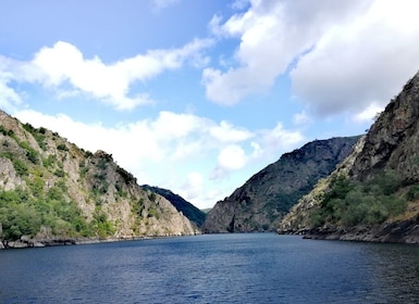 Fra Santiago: Udflugt til Ribeira Sacra og Ourense