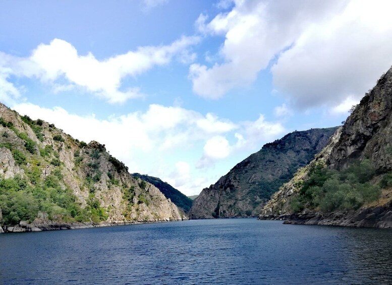 From Santiago: Excursion to Ribeira Sacra and Ourense