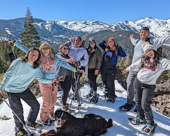 Palisades Point Half-Day Snowshoeing Hike