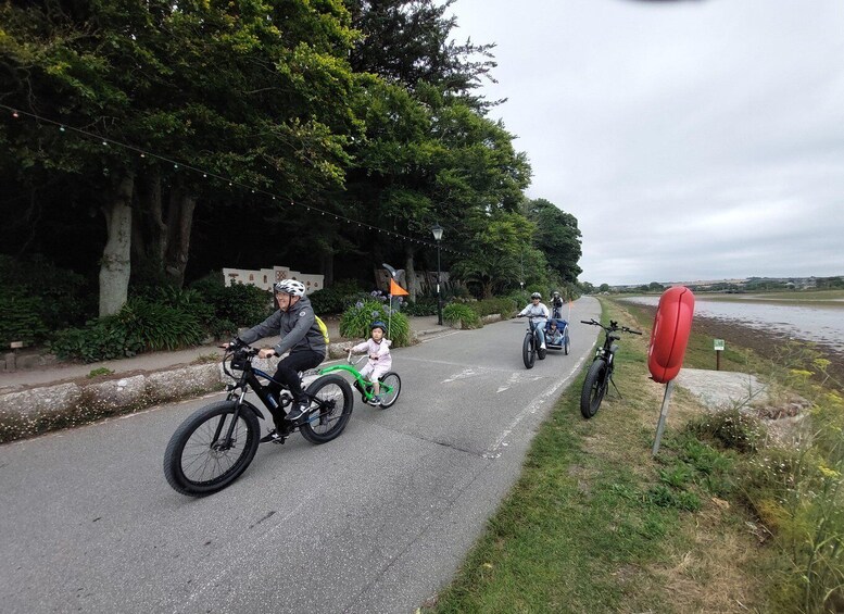 Picture 4 for Activity Hayle: 4-Hours Fat-Tyre E-Bike Hire