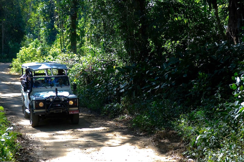 Picture 27 for Activity Paraty: Jungle Waterfalls and Cachaça Distillery Jeep Tour