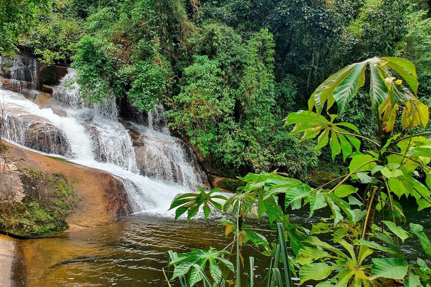 Picture 15 for Activity Paraty: Jungle Waterfalls and Cachaça Distillery Jeep Tour