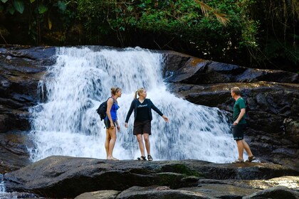 Paraty: recorrido en jeep por las cascadas de la selva y la destilería de C...