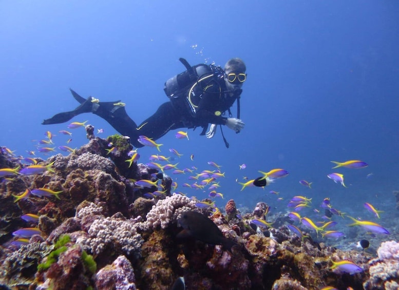 Picture 27 for Activity Mauritius: East Belle Mare Scuba Diving Tour