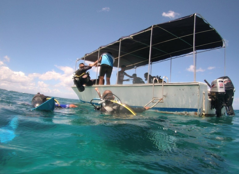 Picture 9 for Activity Mauritius: East Belle Mare Scuba Diving Tour