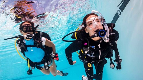 Maurice : Excursion de plongée sous-marine à East Belle Mare