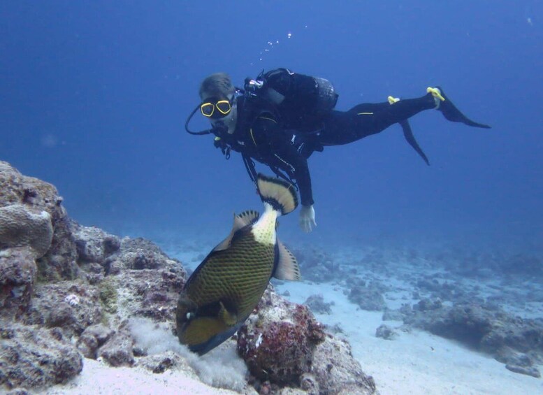 Picture 38 for Activity Mauritius: East Belle Mare Scuba Diving Tour