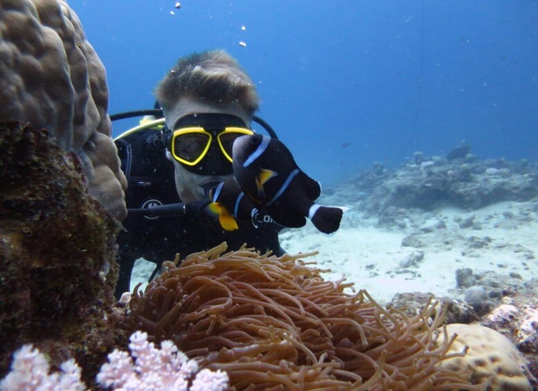 Picture 21 for Activity Mauritius: East Belle Mare Scuba Diving Tour