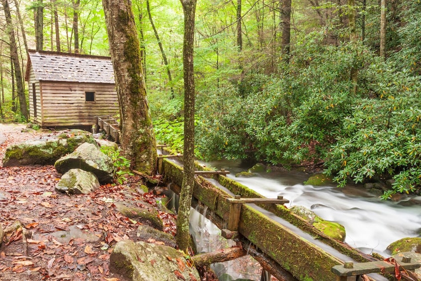 Roaring Fork Trail Self-Guided Walking Audio Tour