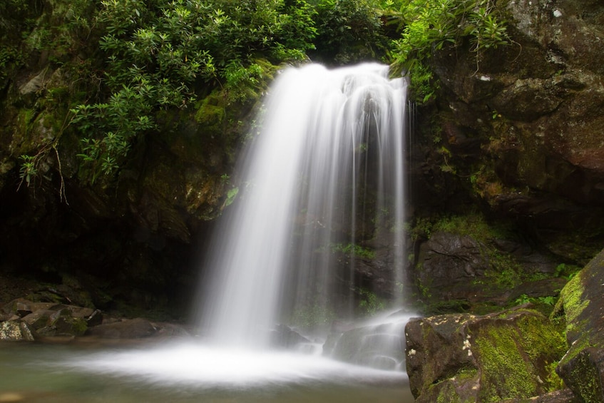 Roaring Fork Trail Self-Guided Walking Audio Tour