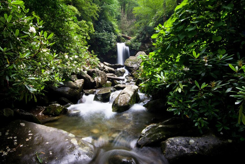 Roaring Fork Trail Self-Guided Walking Audio Tour