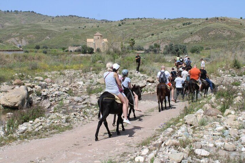 Donkey safari and Village Culture Night from Pafos and Limassol