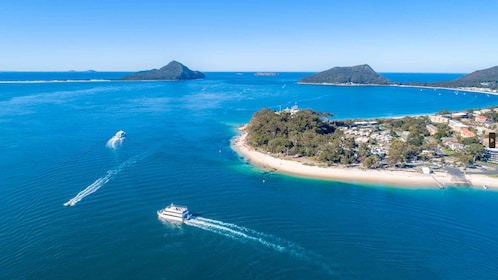 Newcastle: Port Stephens day tour. Dolphins, hike, swim.